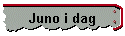 Juno i dag