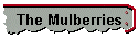 The Mulberries
